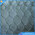 grillage hexagonal galvanisé/fil de poulet/clôture de poulet enduite de PVC